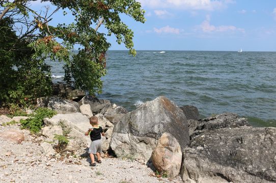 Lions Park at Lake Point