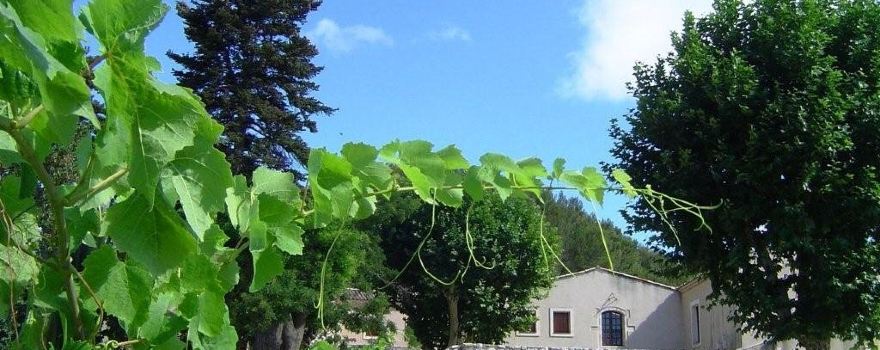 Domaine Maspiquet