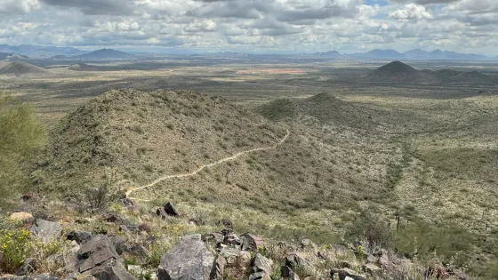 Sonoran Preserve