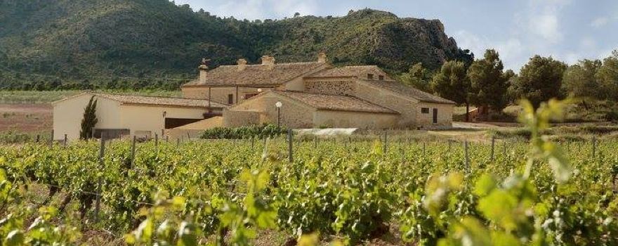 Bodega Finca Collado