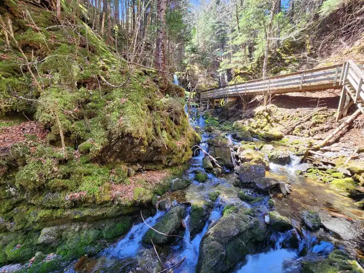 Hotels near Fundy National Park Of Canada