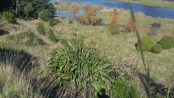 Historic Jed Vale Cemetery Walk