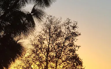 Etiwanda Creek Community & Dog Park