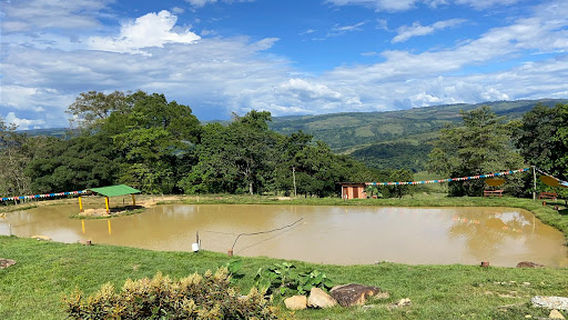 FINCA MACIEGALES "JAIRO DURAN"