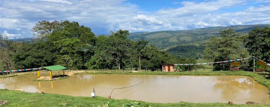 FINCA MACIEGALES "JAIRO DURAN"