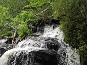 Camping Lac La Vieille