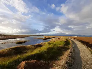 Robert Findlay Wildlife Reserve