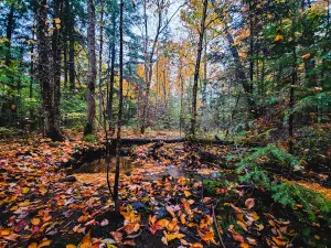 Quartz Hill Trail