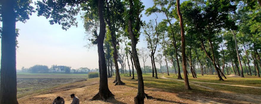 Ranisankail upazila pond