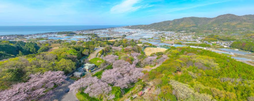 桜ヶ丘公園・芸西村