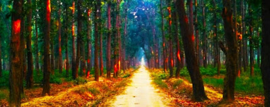 Lehra Forest