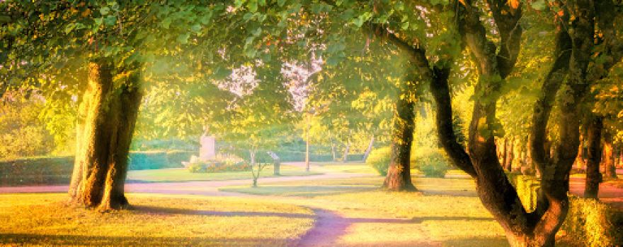 Blossac Park