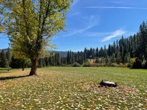 Terrace Lakes Resort
