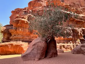 Um Frouth Rock Arch