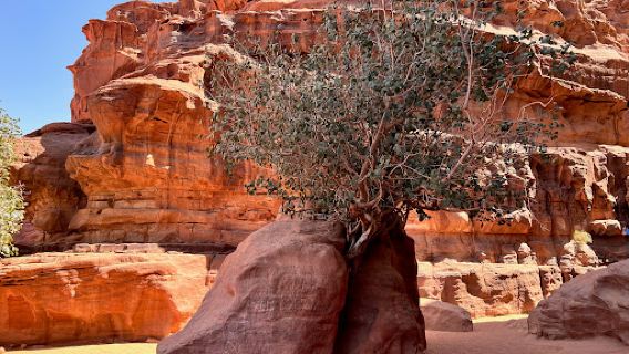 Um Frouth Rock Arch