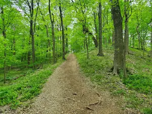 Audubon Museum & Nature Center