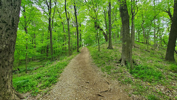 Audubon Museum & Nature Center