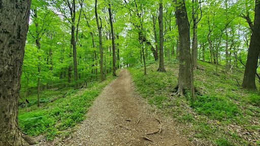 Audubon Museum & Nature Center