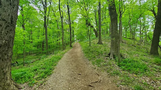 Audubon Museum & Nature Center