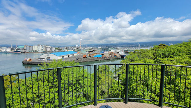 Mt Fuji and port Park
