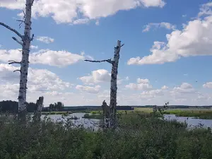 Ozero Tanayevo