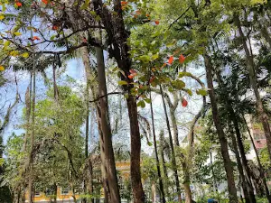 Parque Centenário Jardim da Preguiça