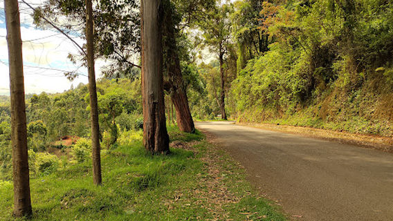 Friends of Usambara Society