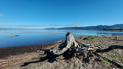 Lake Domain Reserve