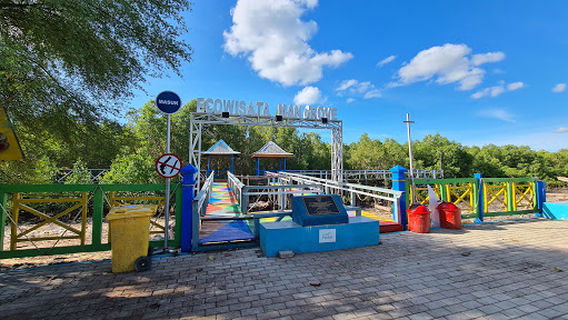 Mangrove Forests Kupang