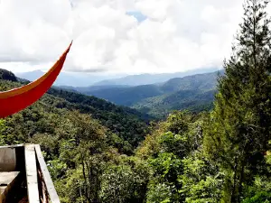 Peak Tree House Sidikalang