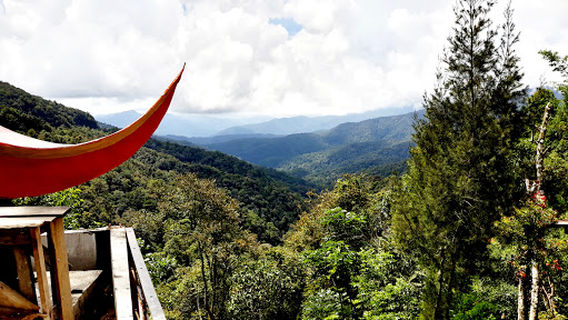 Panatapan puncak sidikalang