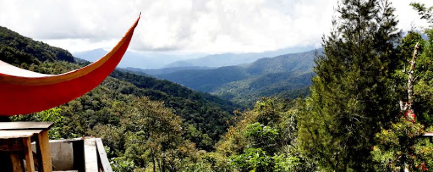 Peak Tree House Sidikalang