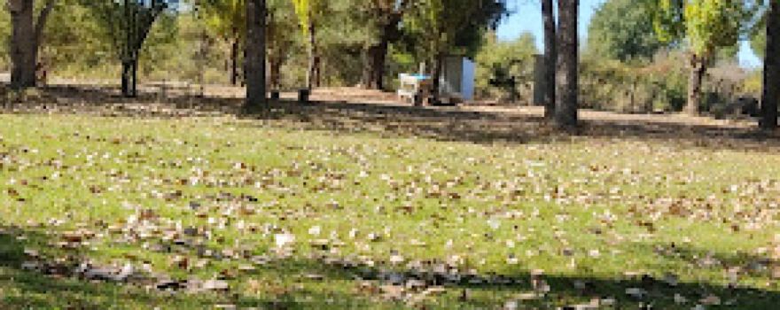 Zona De Camping Rural