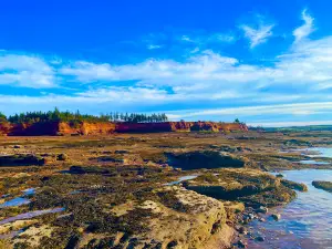 Burntcoat Head Park Association