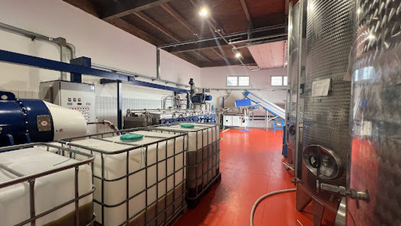 Extravergine Savoia - Azienda Agricola Savoia - Tour and olive oil tasting