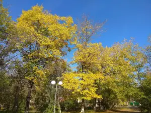Park Lenina