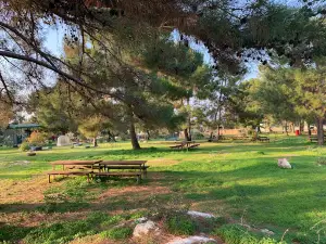 Kyrenia wild life park