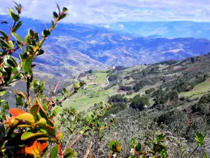 Loma de Zhalo