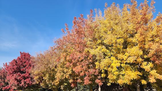 Del Lago Park