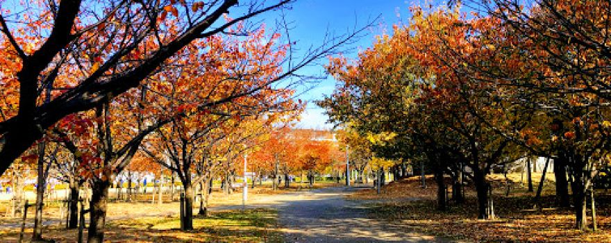 Ashiya City General Park
