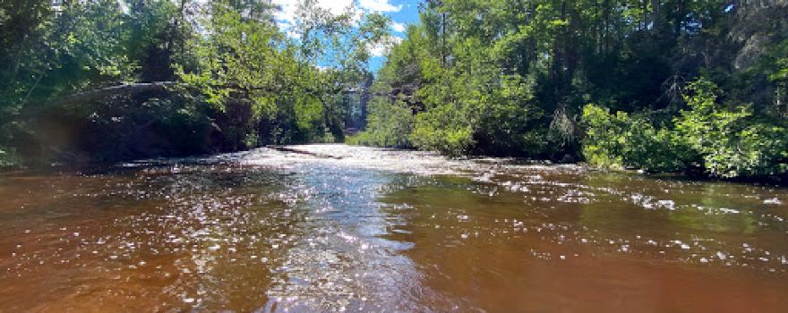 Sparrow Rapids Campground