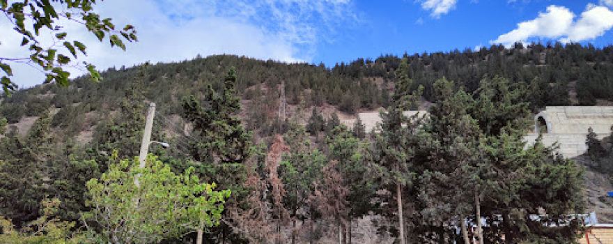 Chamran Park