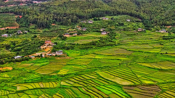 Dzongdrakha Monastry