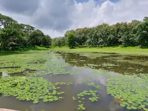 Tansa Wildlife Sanctuary