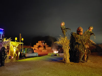 Haunted Forest