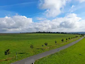 Veselská rozhledna