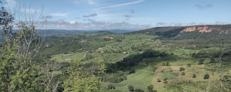 Chapada dos Pequizeiros