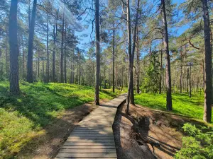 Lāčupīte Arboretum and nature trail