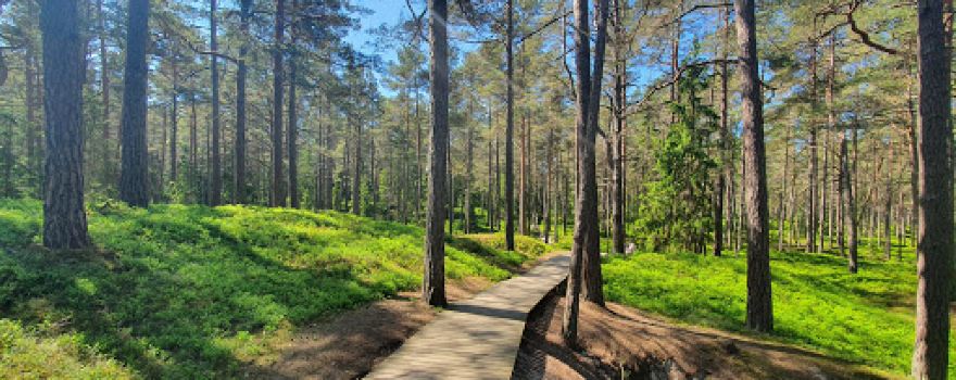 Lāčupīte Arboretum and nature trail