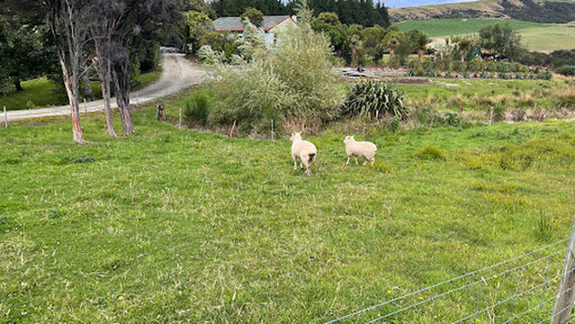 Freedom Camping Site